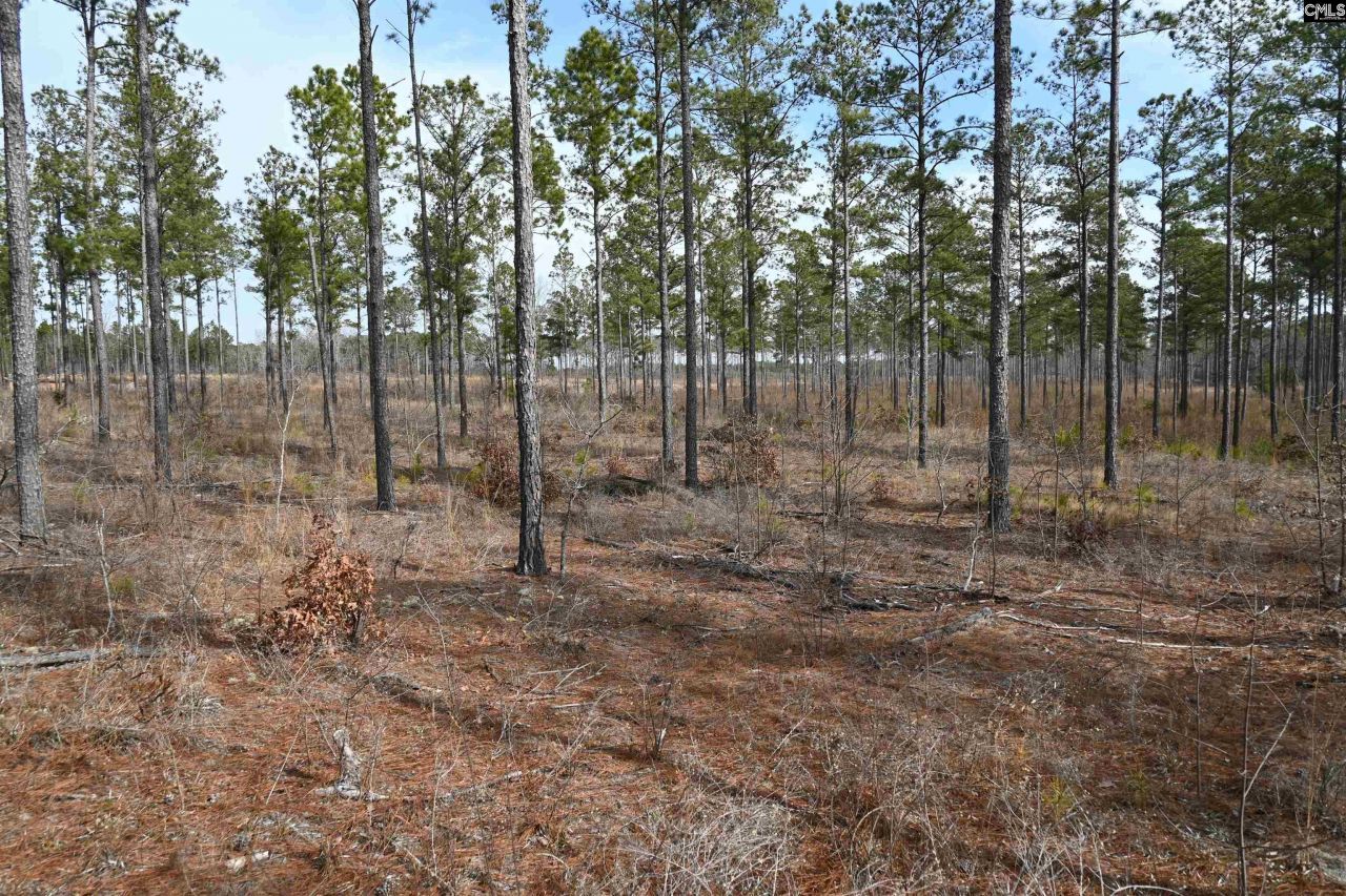 622 Pickett Thomas Road  Photo 17