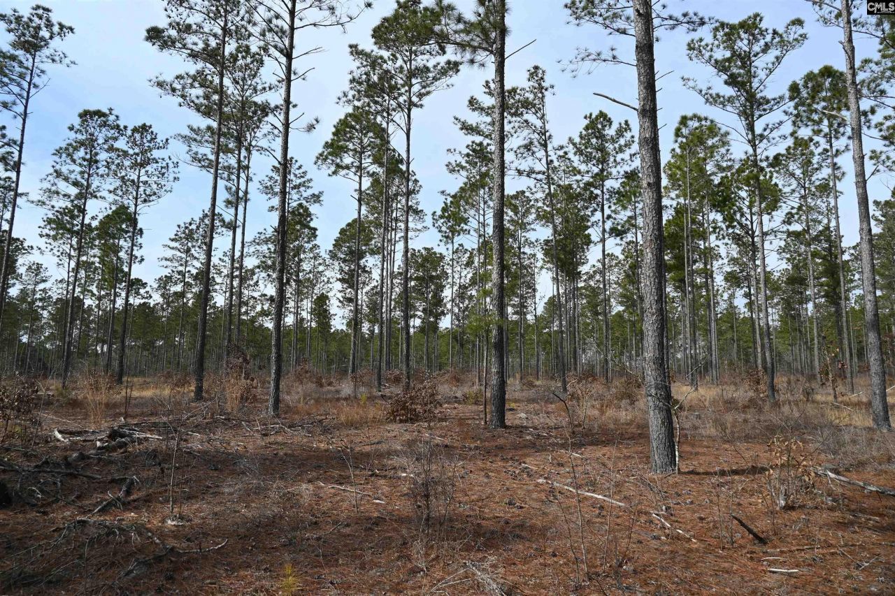 622 Pickett Thomas Road  Photo 19