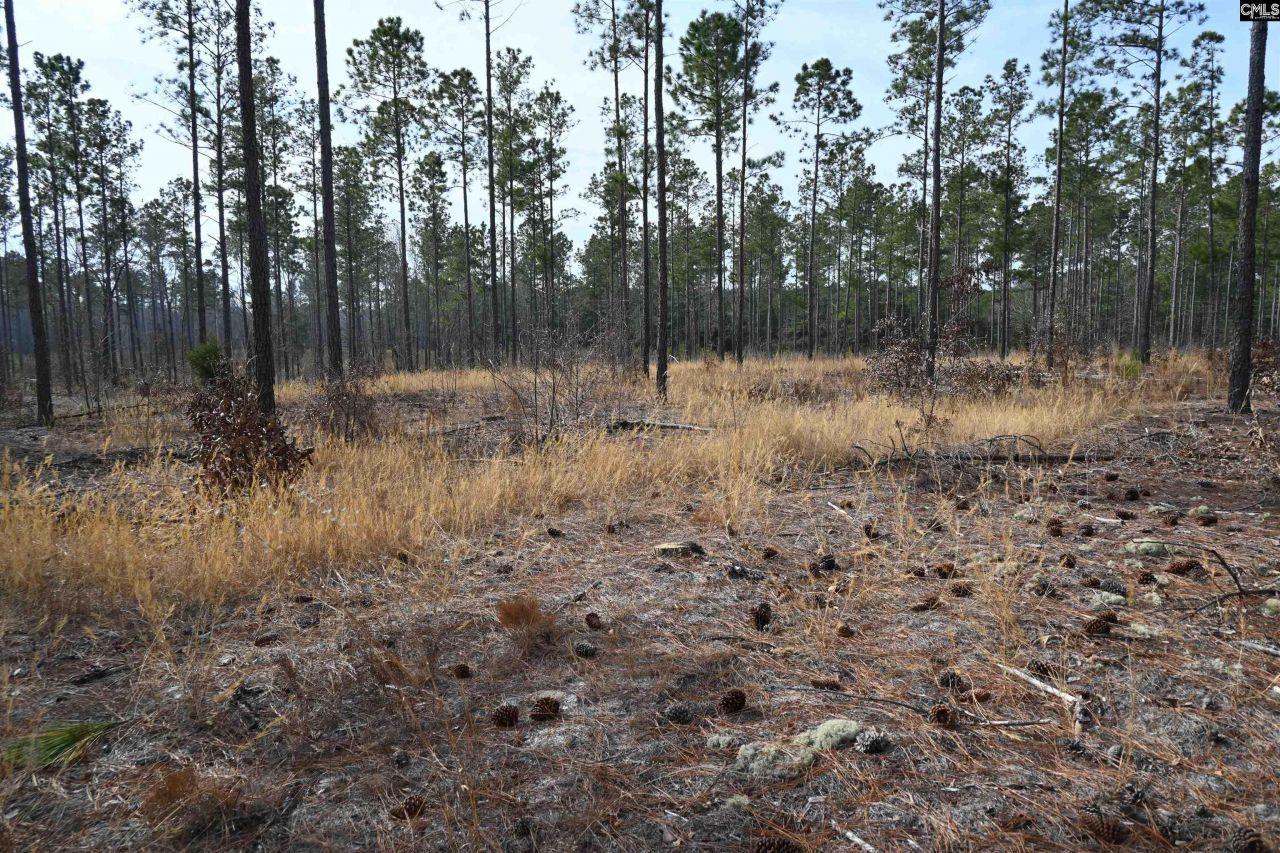 622 Pickett Thomas Road  Photo 20