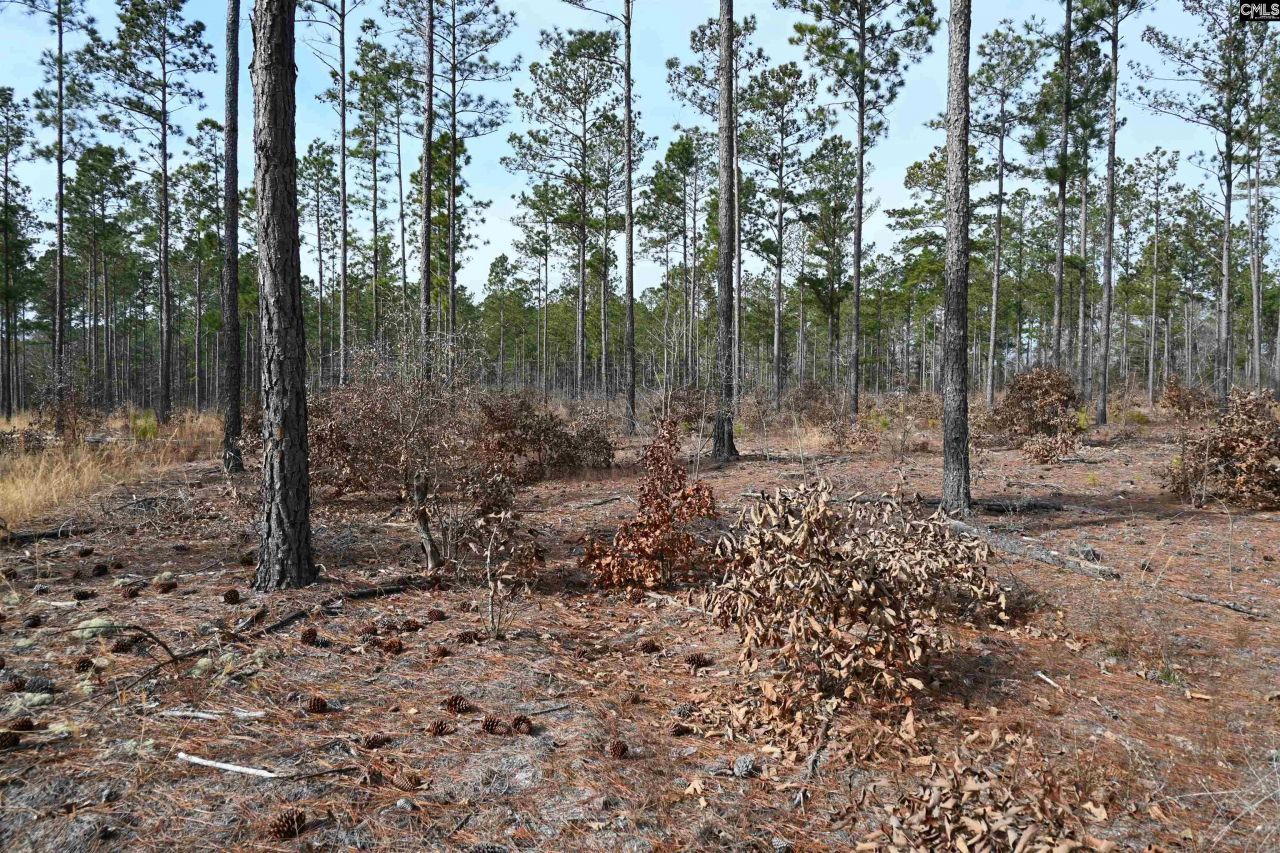 622 Pickett Thomas Road  Photo 21