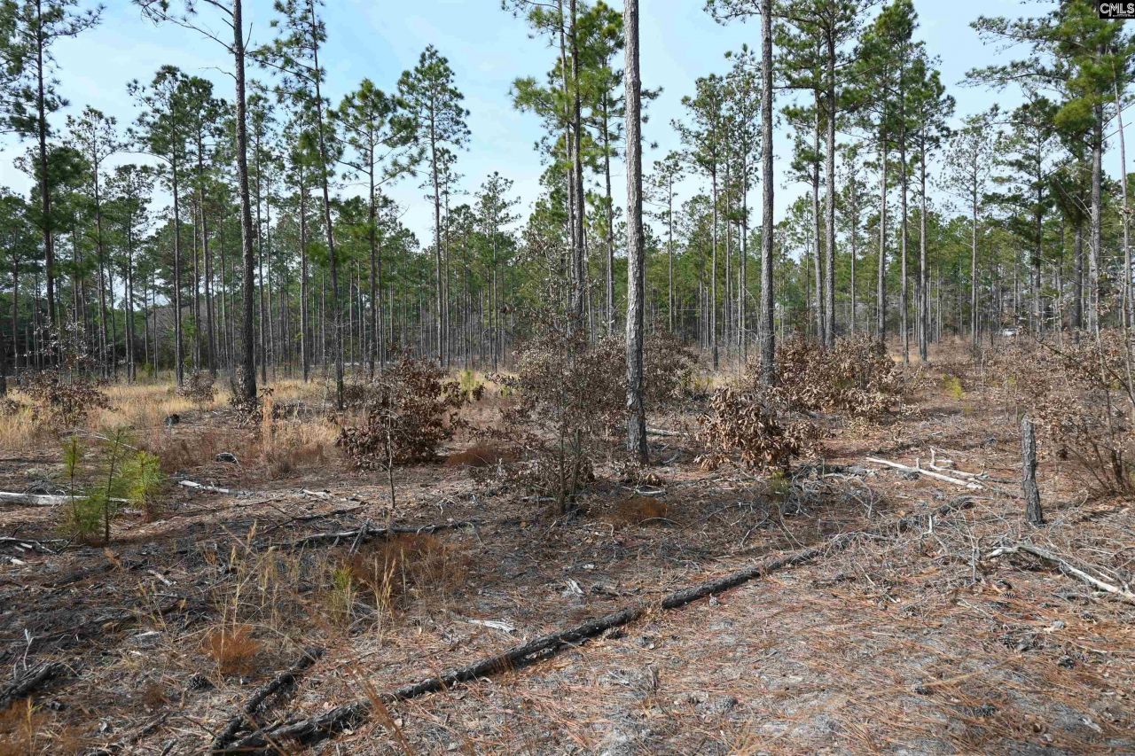 622 Pickett Thomas Road  Photo 22