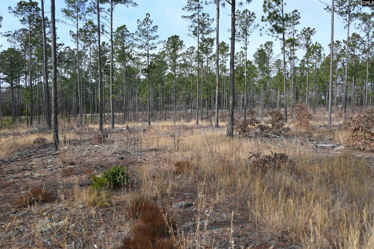 622 Pickett Thomas Road  Photo 24