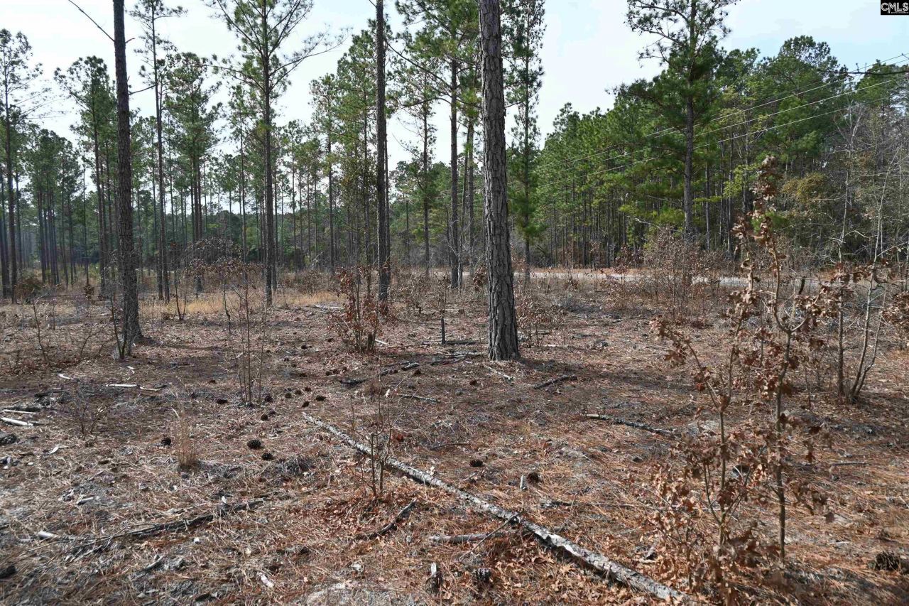 622 Pickett Thomas Road  Photo 4