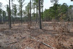 622 Pickett Thomas Road  photo 4