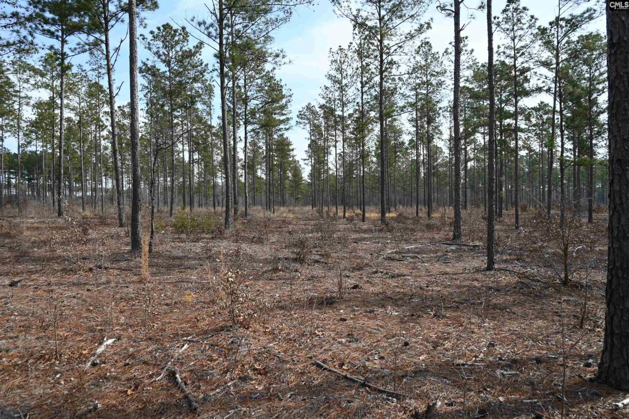 622 Pickett Thomas Road  Photo 5