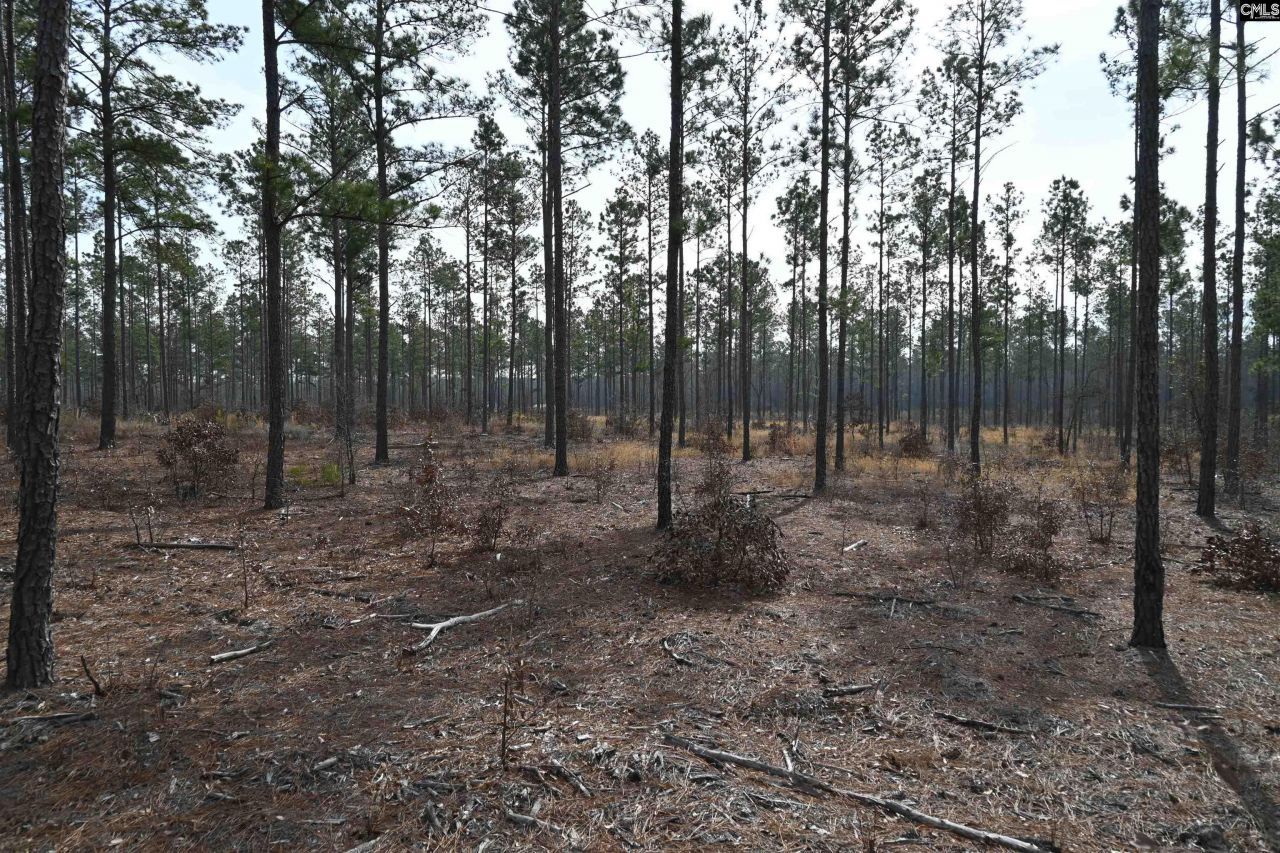 622 Pickett Thomas Road  Photo 6