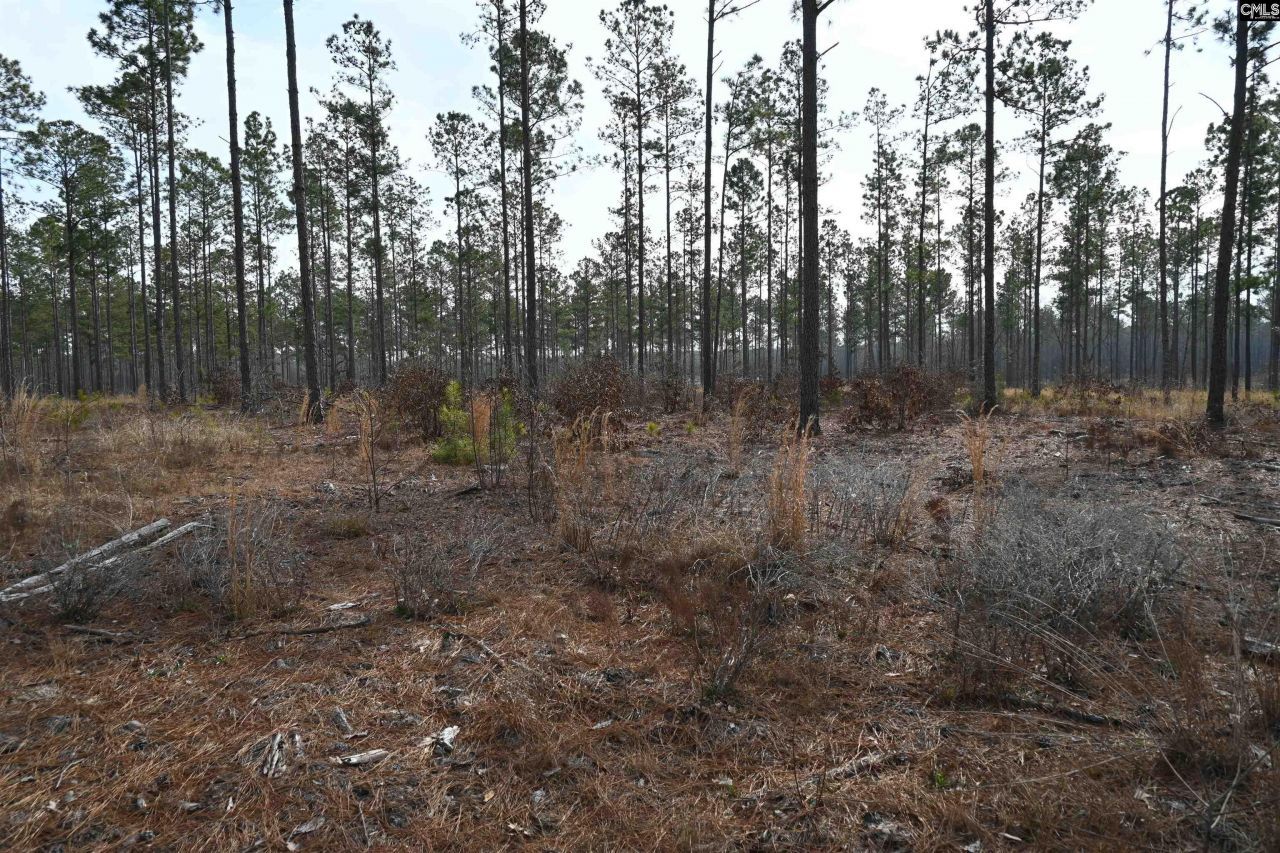 622 Pickett Thomas Road  Photo 8