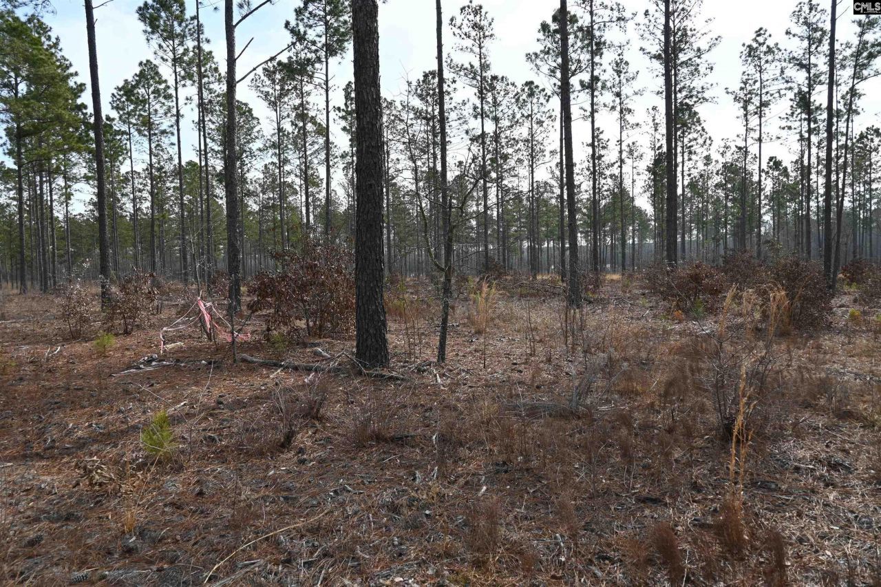 622 Pickett Thomas Road  Photo 9