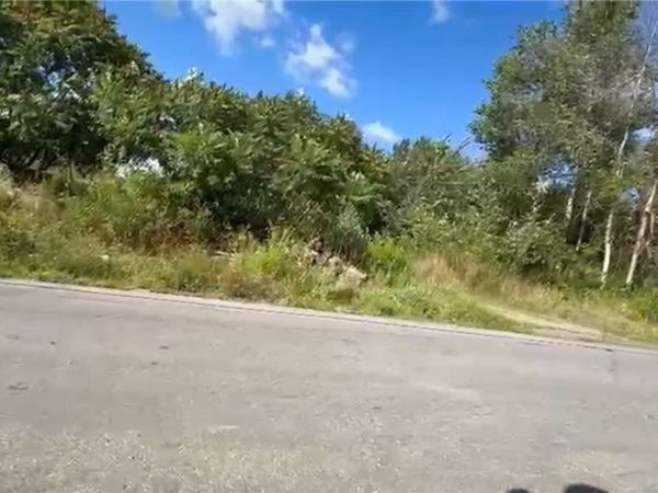 VL Allen Street, Jamestown, NY 14647