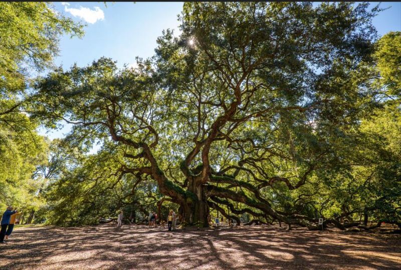 611 Du Bois Drive Photo 64