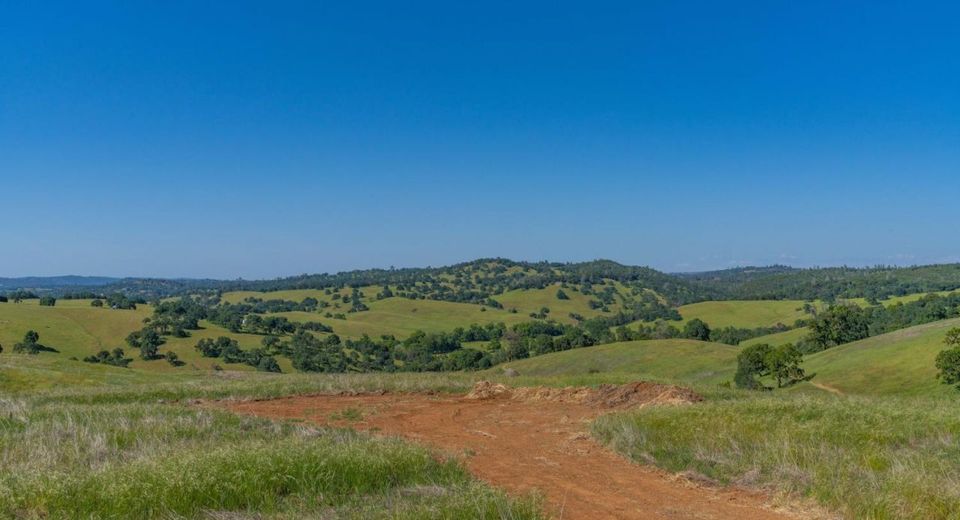 Last Chance Aly, Amador City, CA 95601 Photo