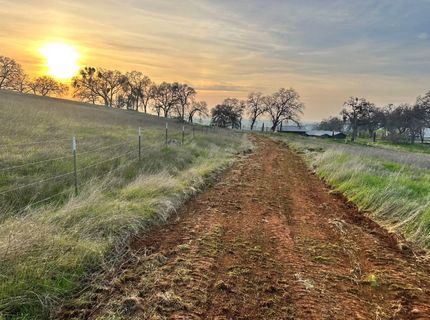 Last Chance Aly, Amador City, CA 95601 Photo