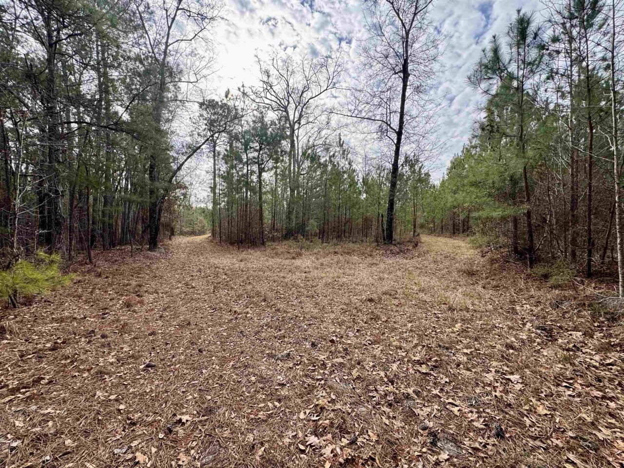 106.6 Acres-tbd Highway 52 Photo 10