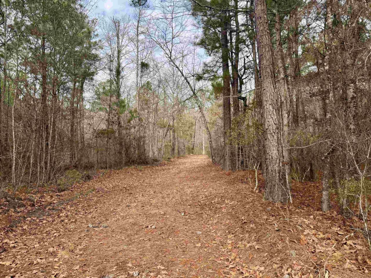 106.6 Acres-tbd Highway 52 Photo 11