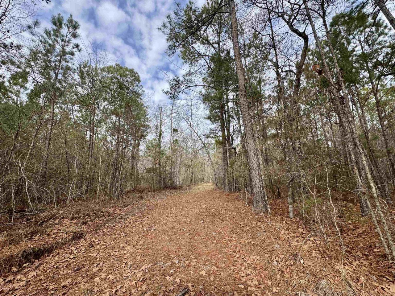 106.6 Acres-tbd Highway 52 Photo 12