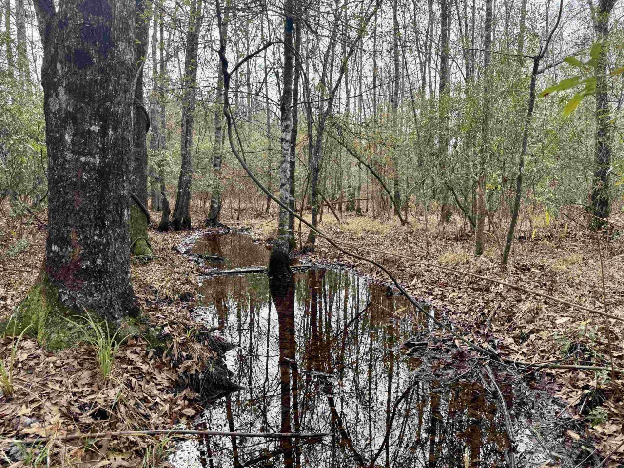 106.6 Acres-tbd Highway 52 Photo 13