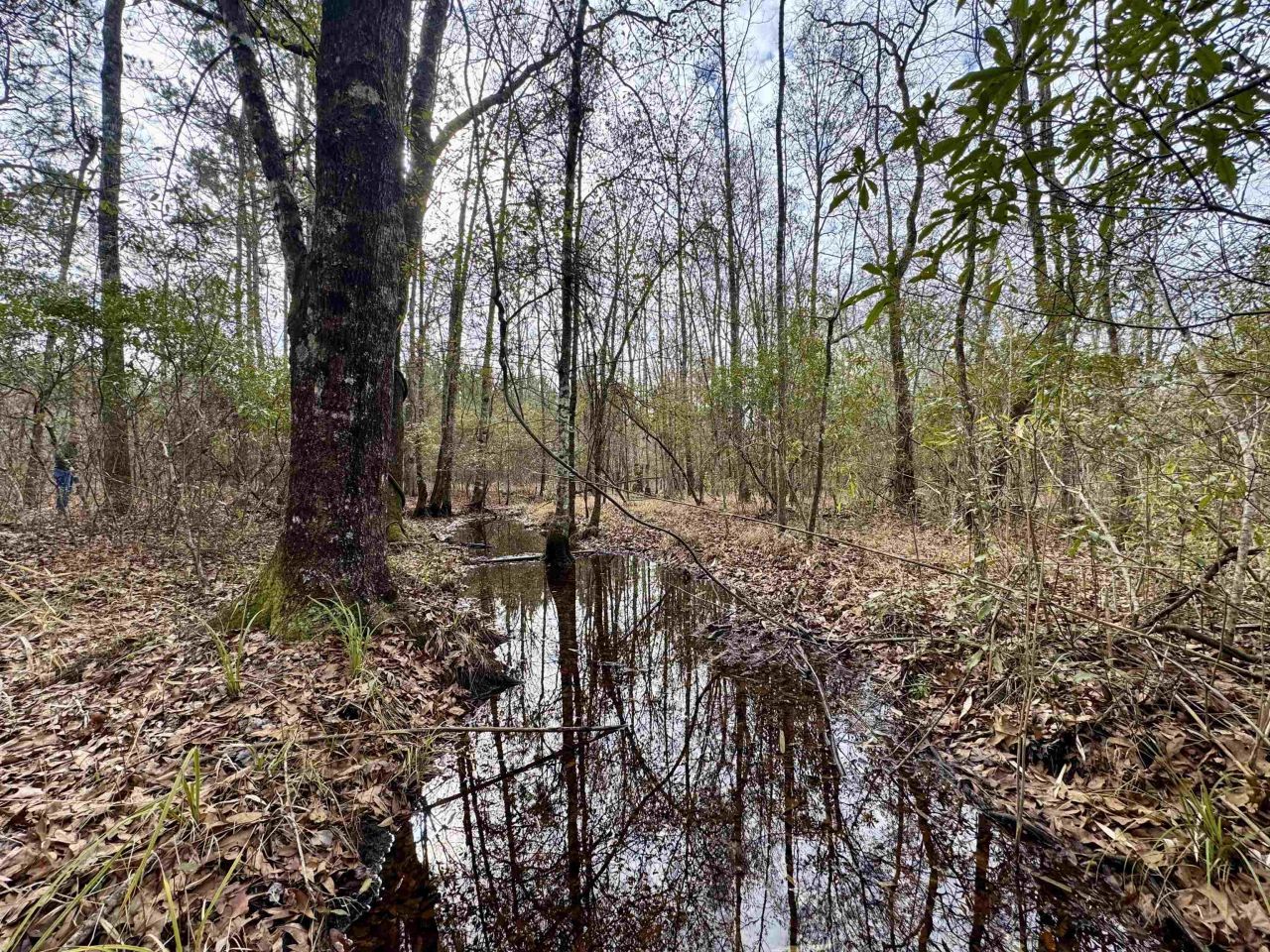 106.6 Acres-tbd Highway 52 Photo 14