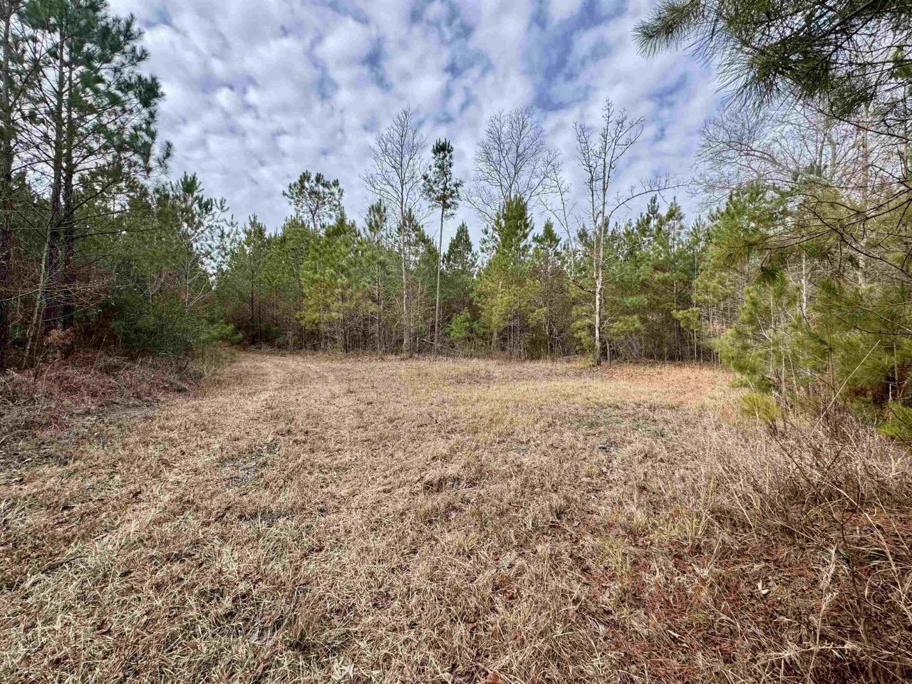 106.6 Acres-tbd Highway 52 Photo 17