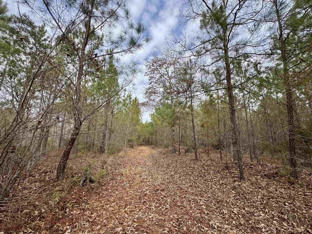 106.6 Acres-tbd Highway 52 Photo 19