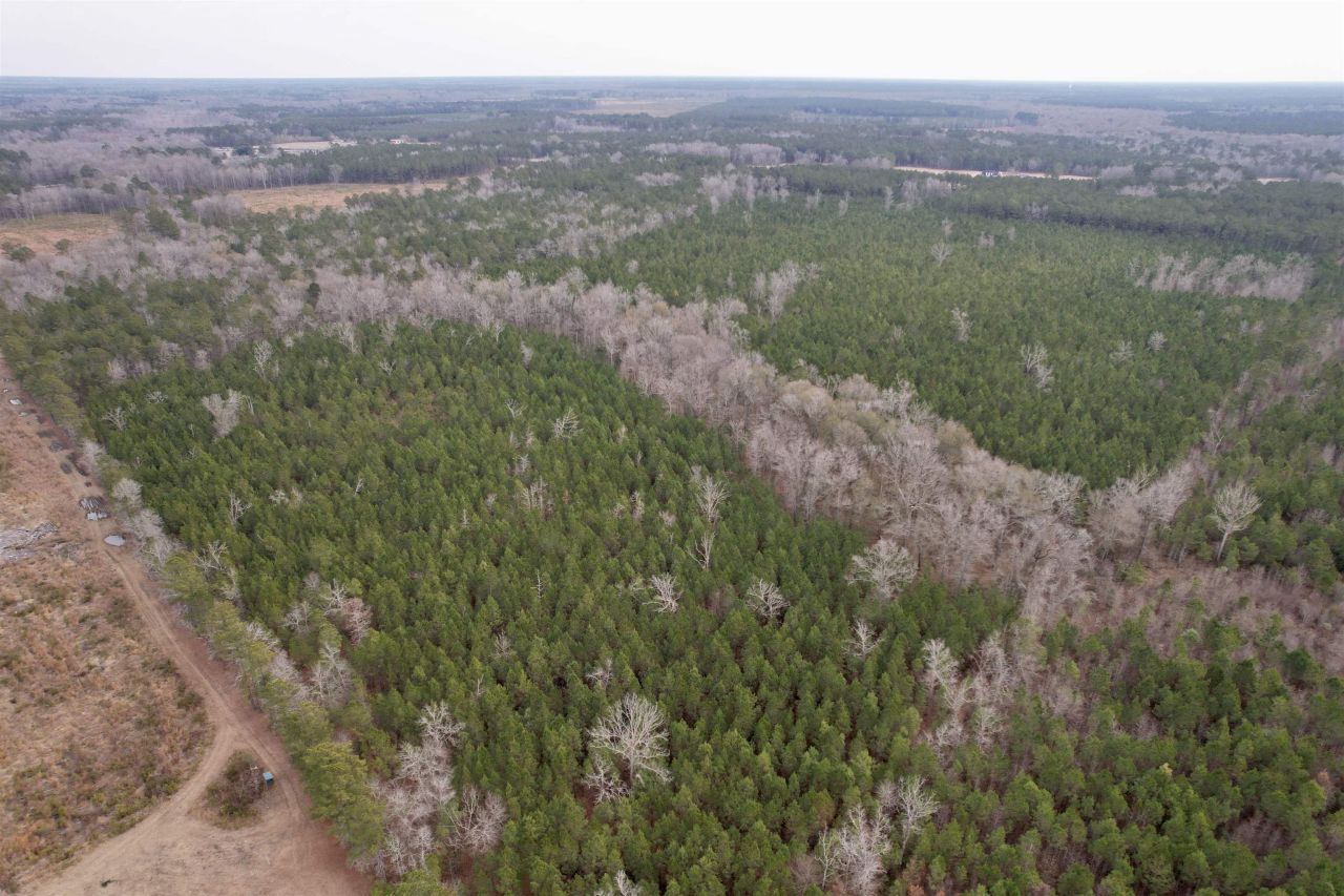 106.6 Acres-tbd Highway 52 Photo 2