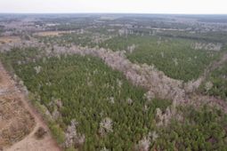 106.6 Acres-tbd Highway 52 photo 4