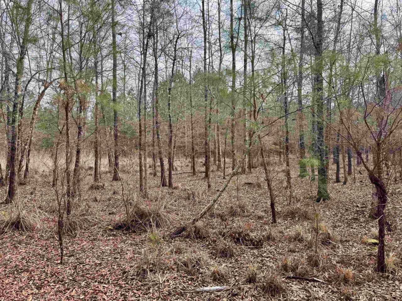 106.6 Acres-tbd Highway 52 Photo 20