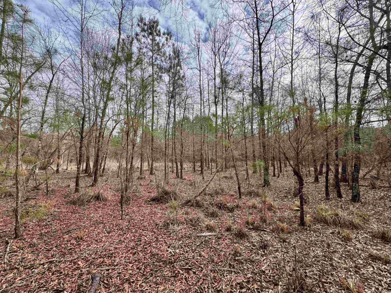 106.6 Acres-tbd Highway 52 Photo 21