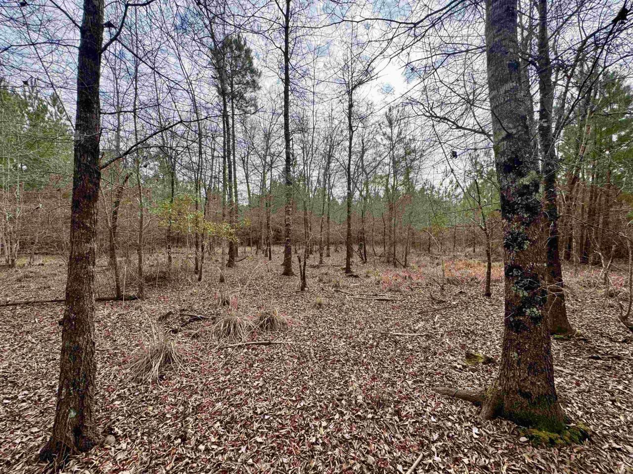 106.6 Acres-tbd Highway 52 Photo 22