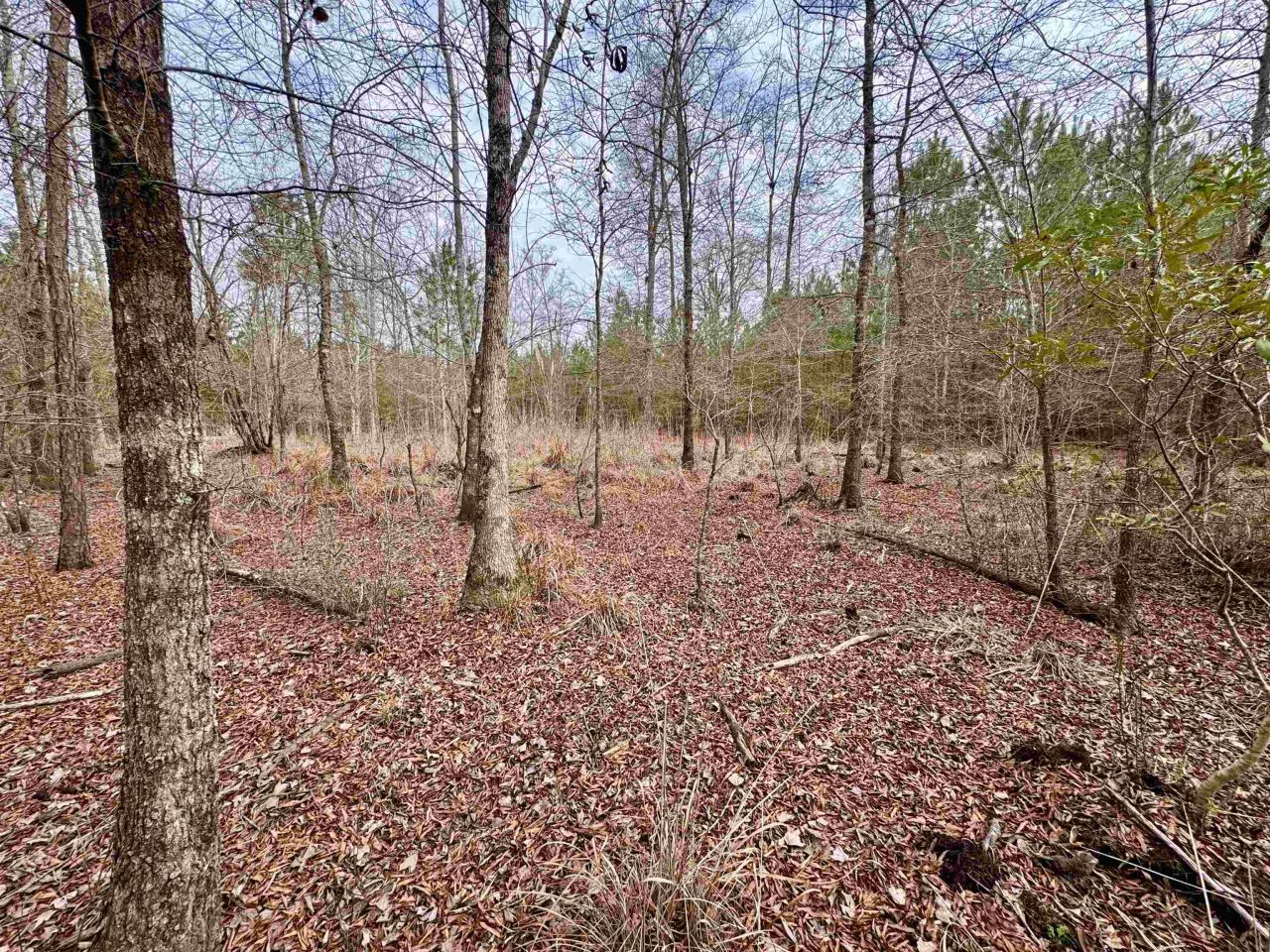 106.6 Acres-tbd Highway 52 Photo 24