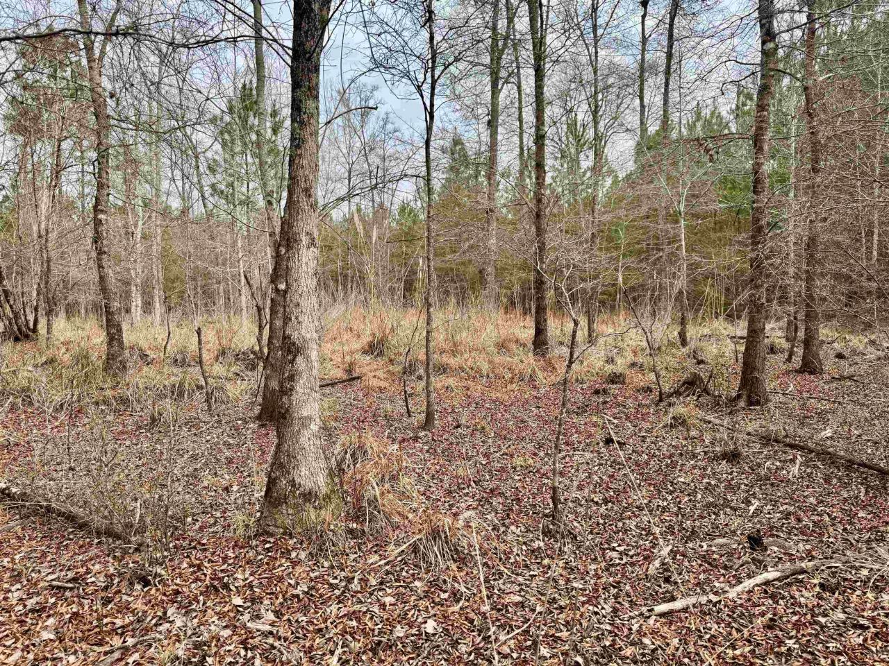 106.6 Acres-tbd Highway 52 Photo 25