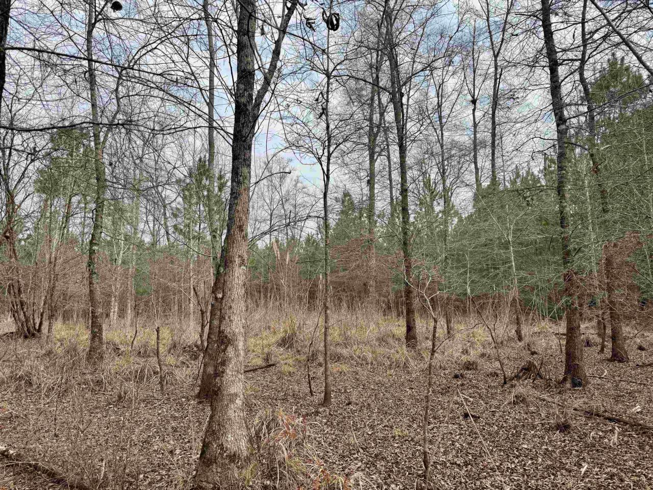 106.6 Acres-tbd Highway 52 Photo 26
