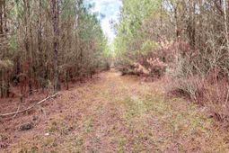 106.6 Acres-tbd Highway 52 photo 4