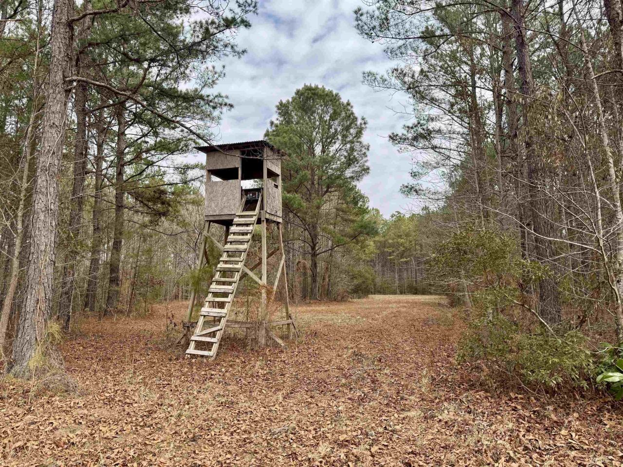 106.6 Acres-tbd Highway 52 Photo 30