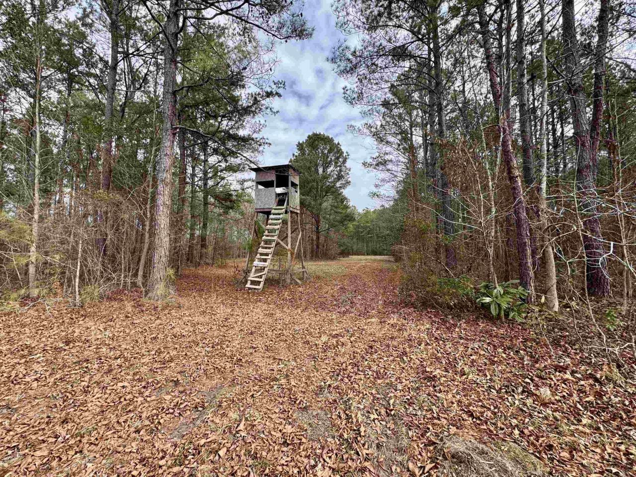 106.6 Acres-tbd Highway 52 Photo 31