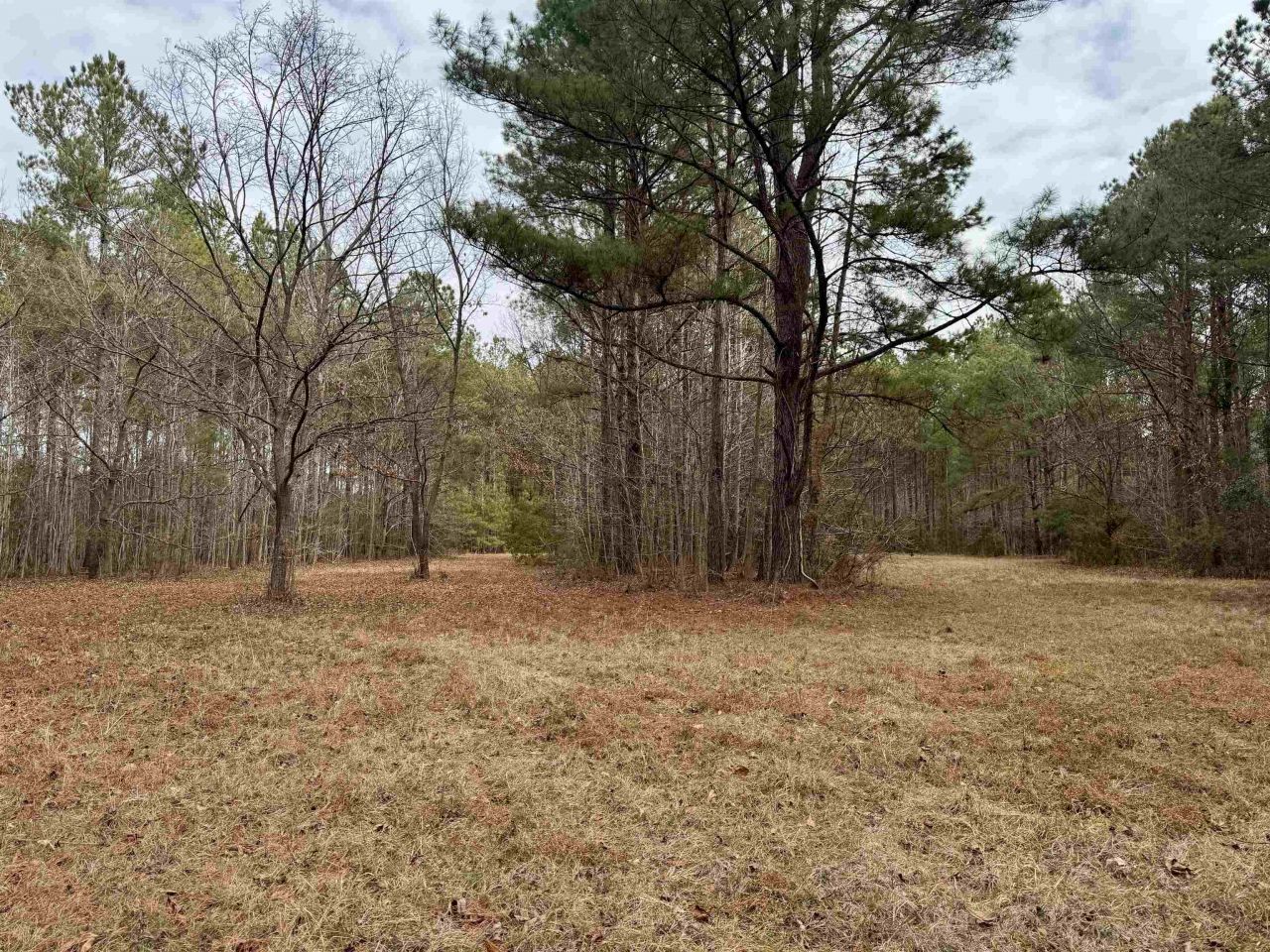 106.6 Acres-tbd Highway 52 Photo 32