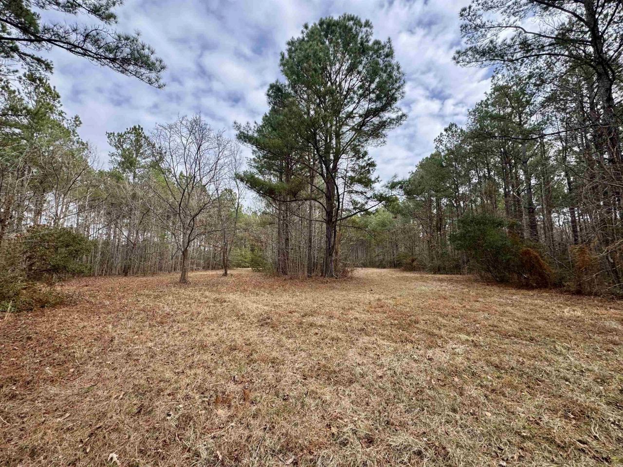 106.6 Acres-tbd Highway 52 Photo 33