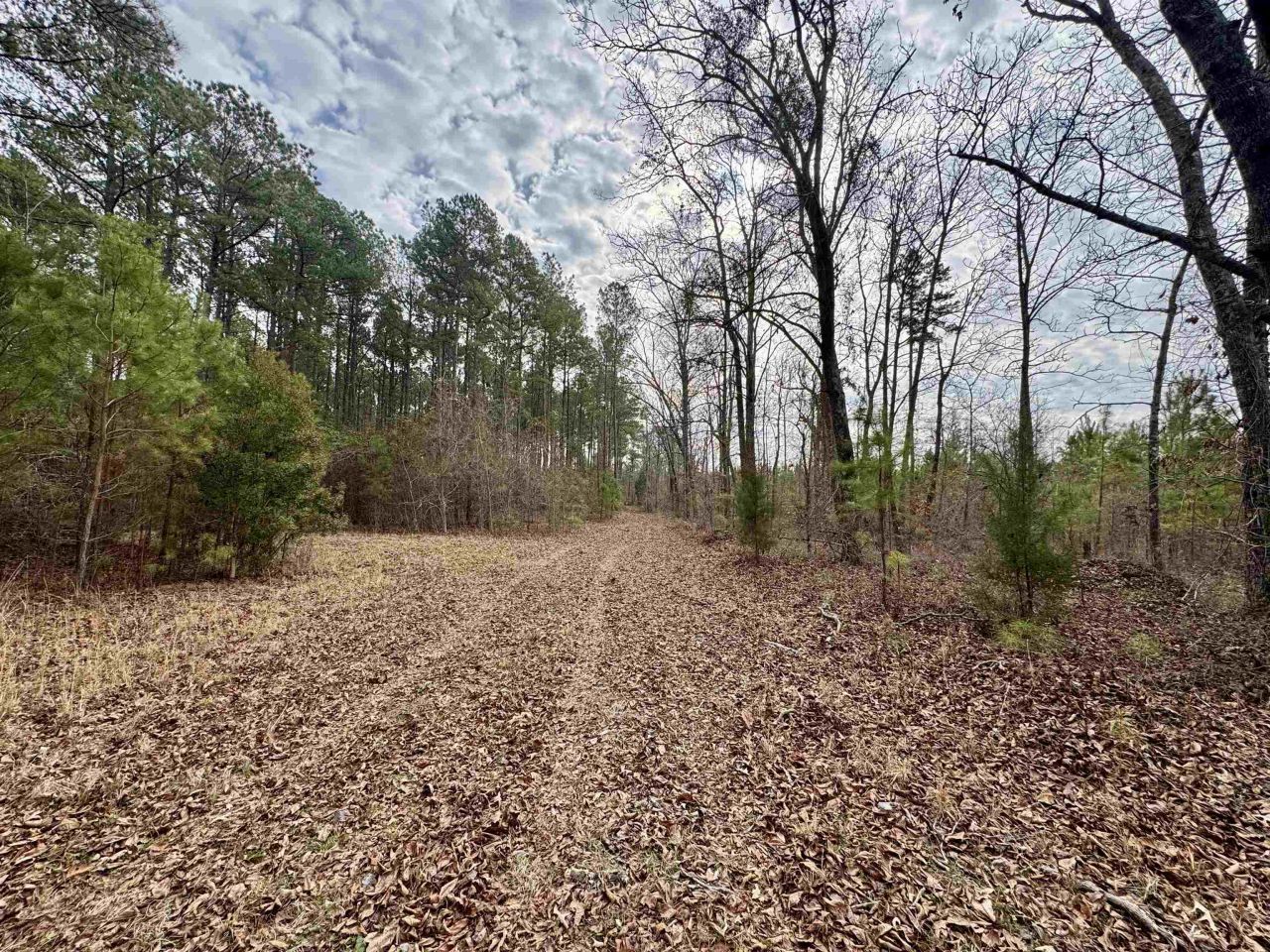 106.6 Acres-tbd Highway 52 Photo 36