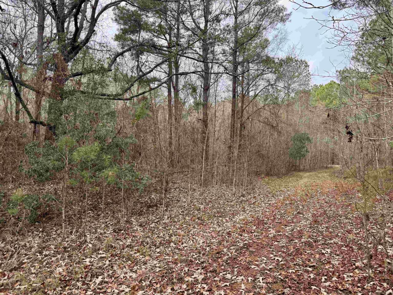 106.6 Acres-tbd Highway 52 Photo 37