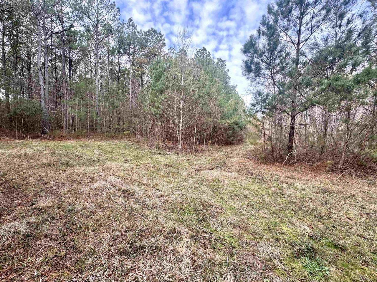 106.6 Acres-tbd Highway 52 Photo 4