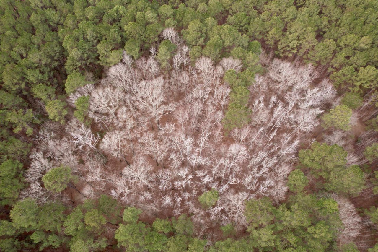 106.6 Acres-tbd Highway 52 Photo 42