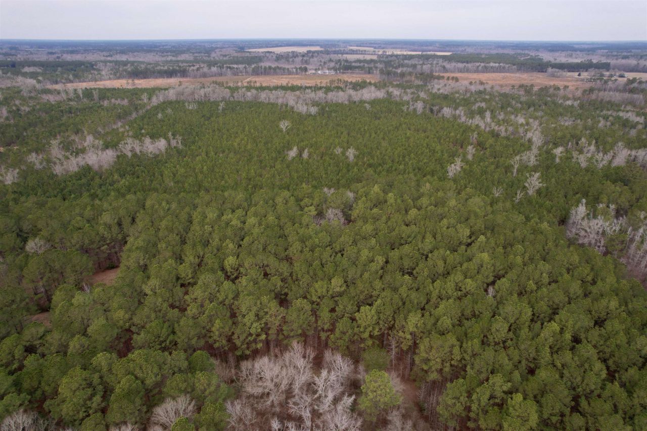 106.6 Acres-tbd Highway 52 Photo 43