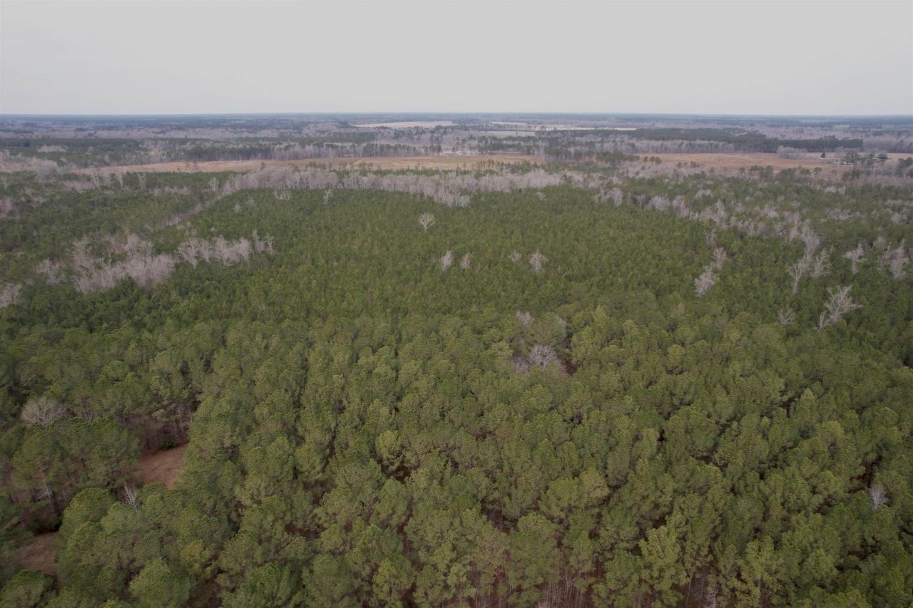 106.6 Acres-tbd Highway 52 Photo 44