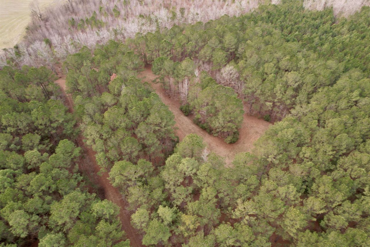 106.6 Acres-tbd Highway 52 Photo 45
