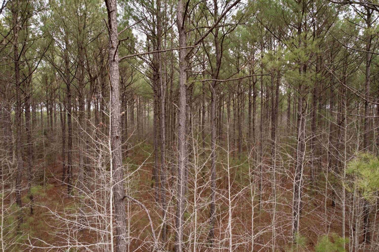 106.6 Acres-tbd Highway 52 Photo 46