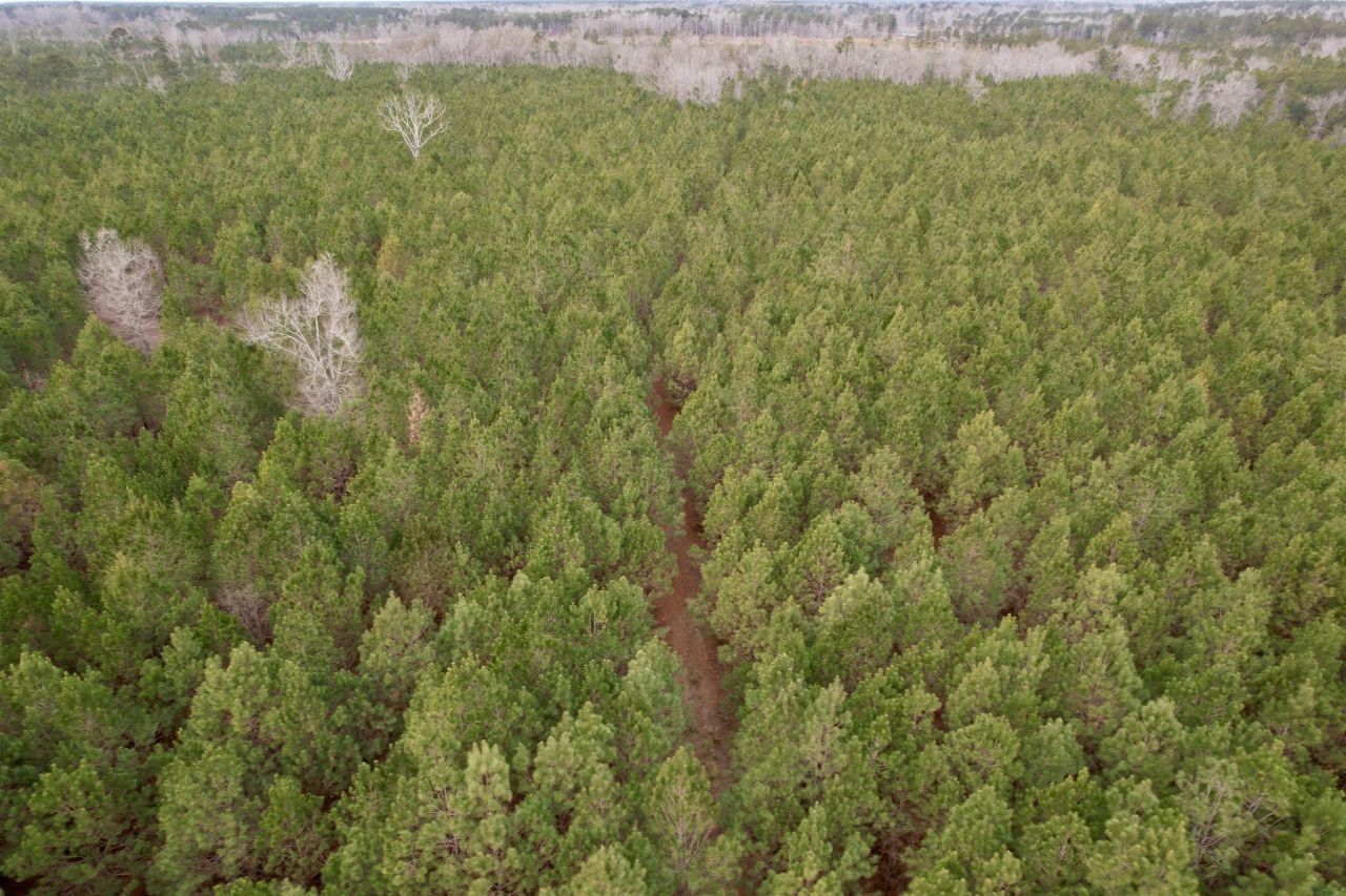 106.6 Acres-tbd Highway 52 Photo 47