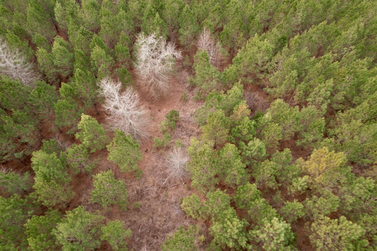 106.6 Acres-tbd Highway 52 Photo 49