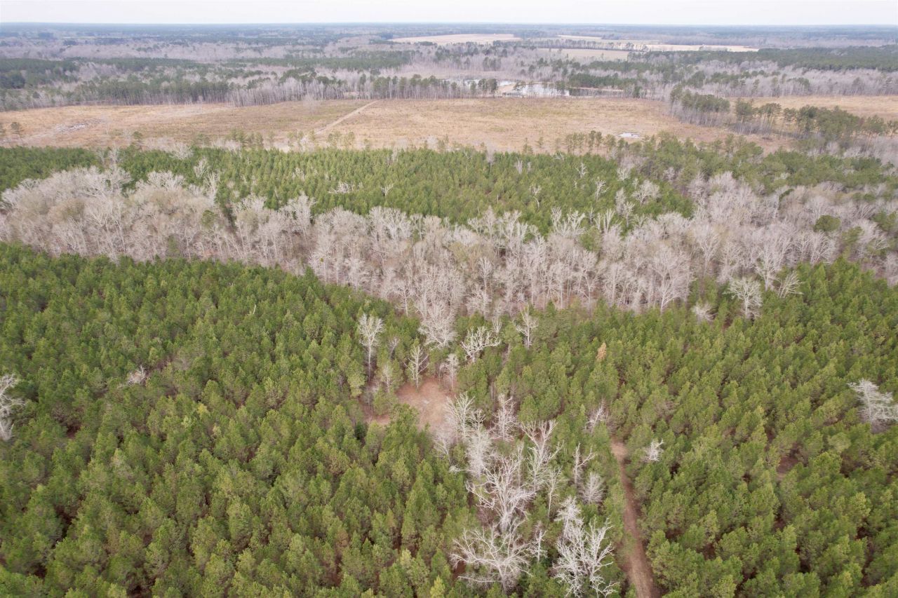 106.6 Acres-tbd Highway 52 Photo 50