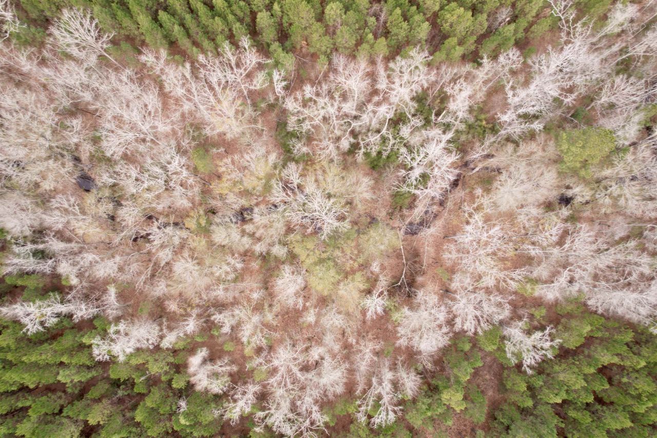 106.6 Acres-tbd Highway 52 Photo 51