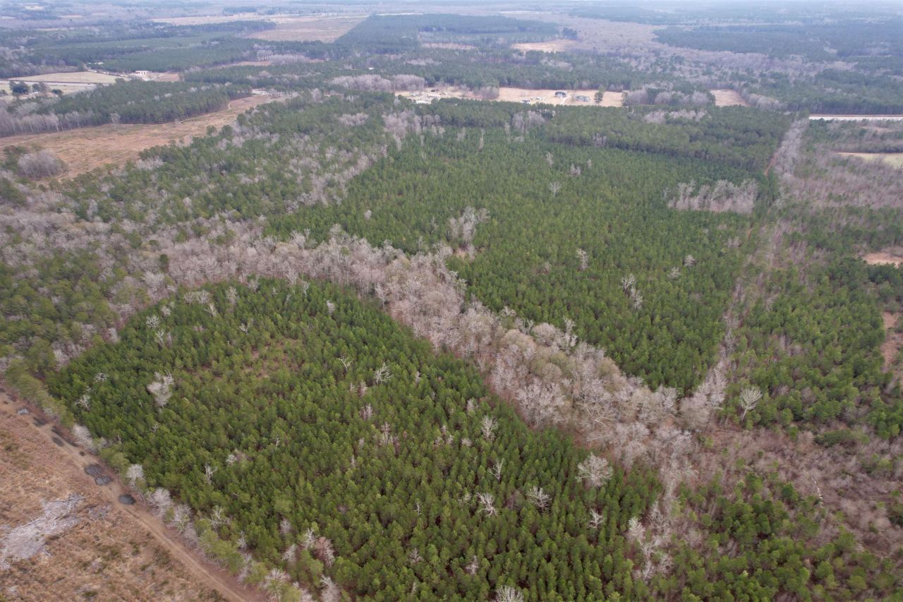 106.6 Acres-tbd Highway 52 Photo 52