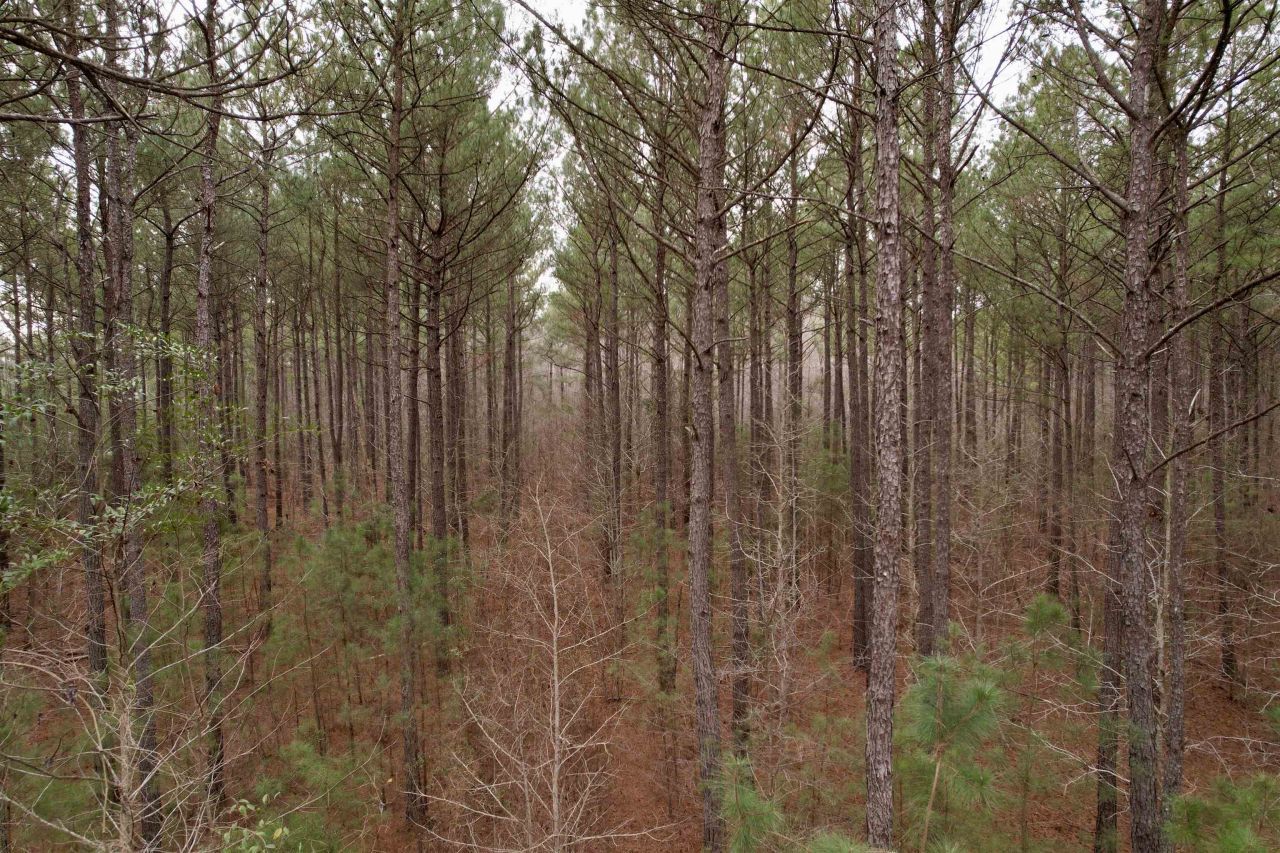 106.6 Acres-tbd Highway 52 Photo 53